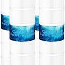 Pool Filter Cartridges Replaces CCP 420, R173576, 4Pack