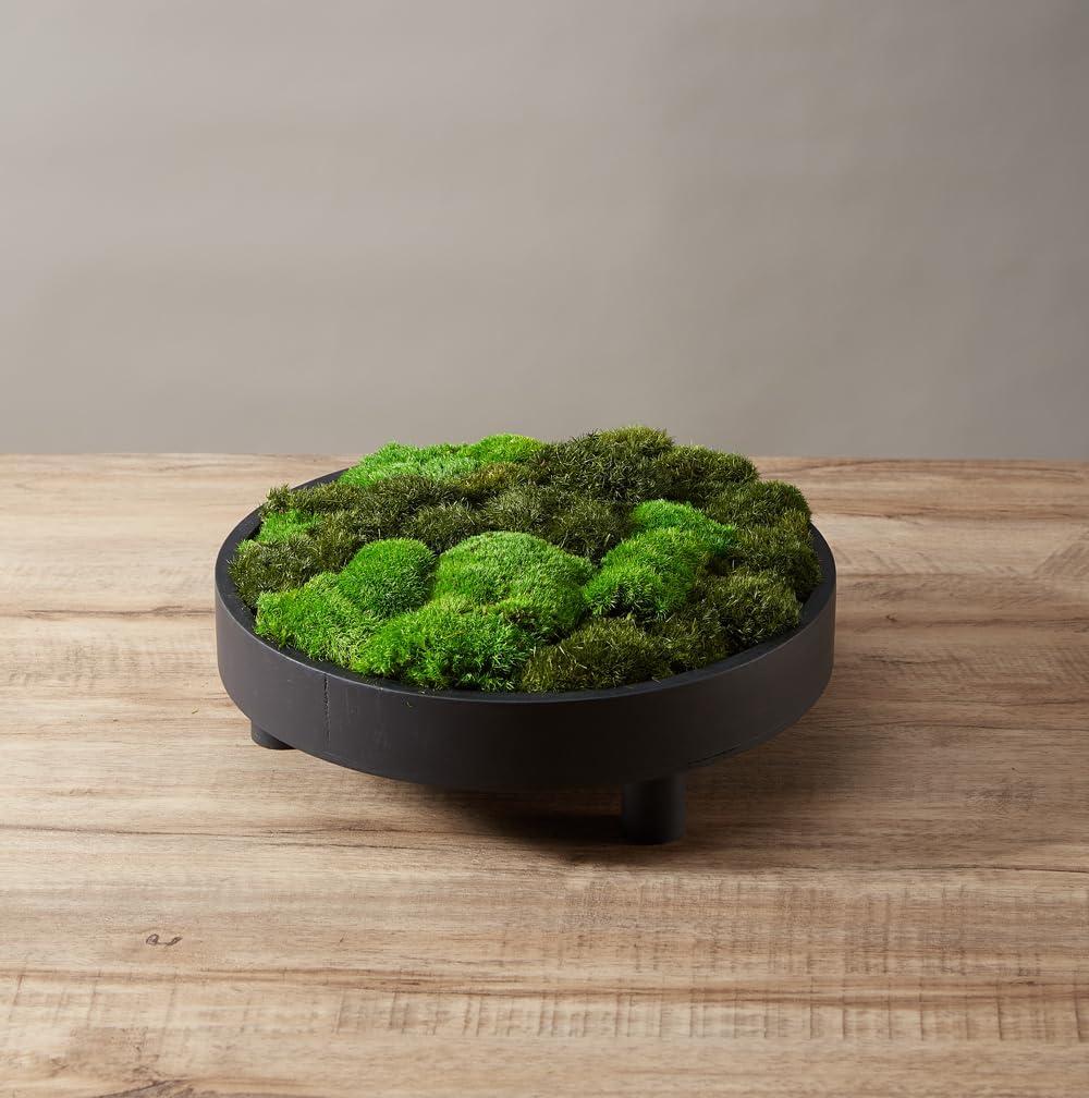 2 Color Mix Pack Preserved Pole Moss Pillow Bun Cushion Natural Decorative Green DIY Kit Art Wall Decor Florist Decor Easter Table Decor Wedding(1.5 sq.ft, Green-A,Green-B)