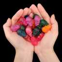 Juome Gummy Skull Silicone Candy Molds, 2 Pack Mini Skull Gummie Chocolate Molds with Dropper for Halloween Gummies, Candies, Jello, Chocolate (80 Cavities)