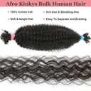 12 Inch Springy Afro Twist Human Braiding Hair 3 Packs Afro Kinkys Bulk Human Hair for Braiding (1B, 12 Inch 3 PACKS)