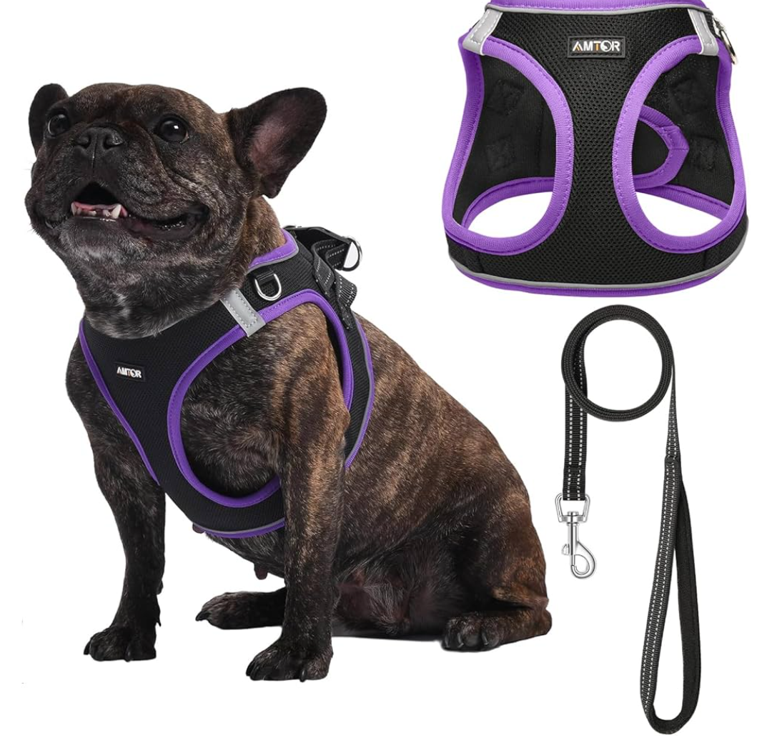 AMTOR Small Dog Harness with Leash Set, No Escape Easy Walk Puppy Harnesses for Training Walking, Step-in Reflective Soft Dogs Vest for XS S Medium Extra-Small Large Sized Dog (XS,Black/Purple)