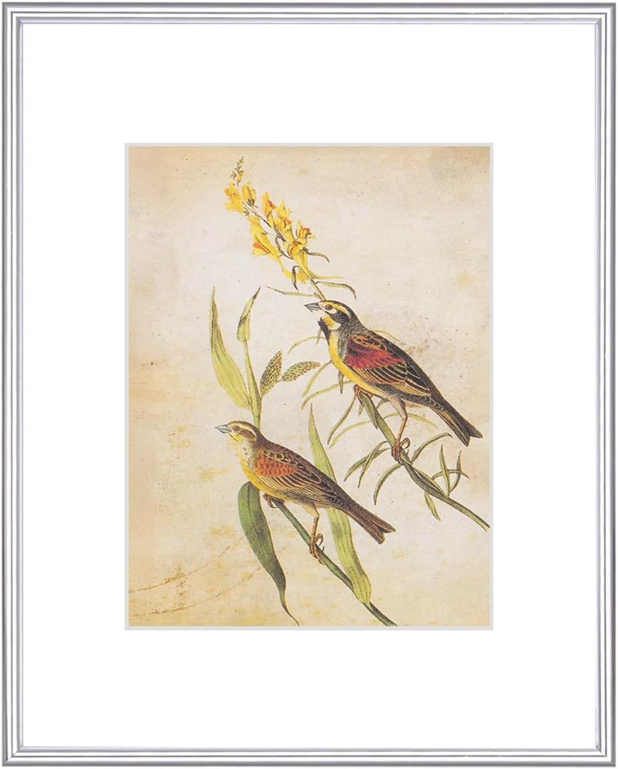 8x10 Picture Frame, Silver Modern Aluminum Metal Photo Frame with HD Glass, Fits 5x7 with Mat or 8 x 10 without Mat, for Tabletop and Wall Mounting, 1 Pack