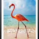 Mxtallup 19x23 Picture Frames Solid wood,Display Pictures 17x21 Inch With Mat or 19x23 Inch Without Mat, Poster Frames 17x21 in Photo Frames Wood Black