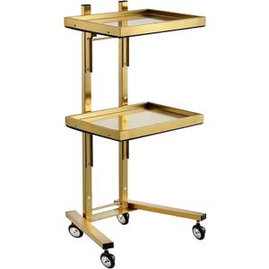 Multifunctional 2-Tray Utility Cart on Wheels - Gold 2-Level Medical Trolley Cart - Mobile Storage Tray Cart for Dental Tools, Cavitation Machine, Salon Supplies - Brass Foldable Storage Trays, Pack of 2