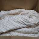 Weighted Blanket for Adults Twin Size 15 lbs, Soft Cooling Minky Dot Heavy Breathable Blanket for All-Season, Washable Weighted Throw with Glass Beads, 60 x 80 Inches, Cream