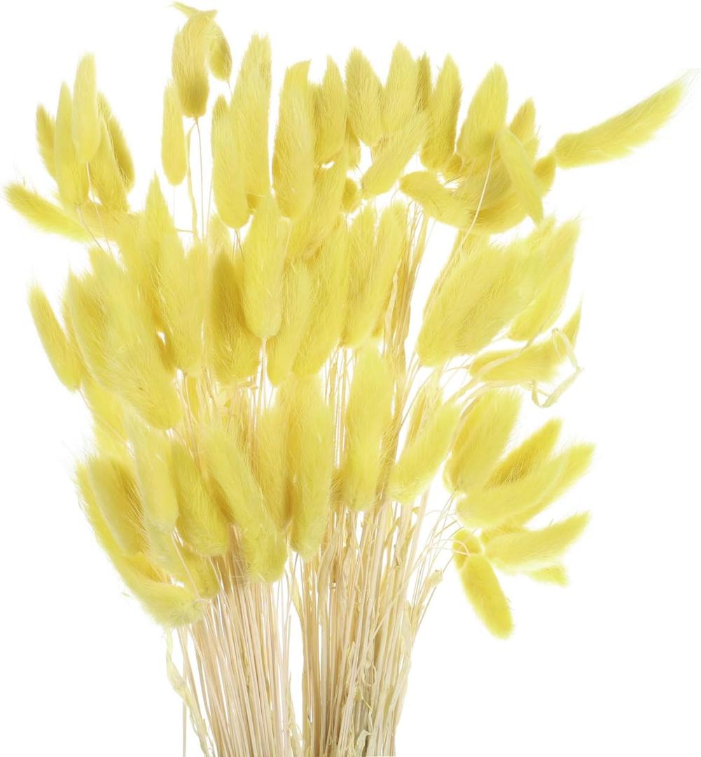 MECCANIXITY 120pcs Natural Rabbit Bunny Tails Dried Flowers 24" Mini Pampas Grass Lagurus Ovatus Bunch for Floral Wedding Decor Christmas, Lemon Yellow