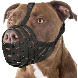 Mayerzon Pitbull Muzzle for Large Medium Sized Dogs to Prevent Biting Scavenging, Basket Muzzle for Rottweiler Staffordshire Terrier in Grooming Training, Allow to Pant Drink, Lightweight and Sturdy, M