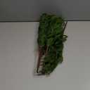 Cllayees 18 Artificial Norfolk Pine Stems - 8 Pack Real Touch Christmas Decorations Indoor, Modern Tabletop Greenery for Vases, Festive Home Decor (Faux Pine, Xmas Plants Decor)