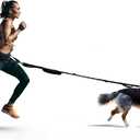 FITLY Dog Running Waist Belt - Dual-Point Force Distribution System - Hands-On-HIPS Canicross Harness for Running, Walks, Hikes - Convertible Design with Storage Pouch & Bungee Damper - Nifty Black