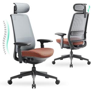 COLAMY Ergonomic Office Chair, Mesh Desk Chair with High Back, Lumbar Support, Adjustable Headrest and 4D Arms, Slide Seat, Tilt Lock-Coral