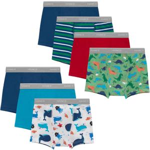 Hanes Boys' Potty Training Underwear, Light Leaks Toddler Cotton Briefs and Boxer Briefs, Multi-pack (2-3T)