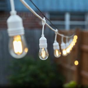 Outdoor String Lights, LED 24FT White Cord 12 Hanging S14 Bulbs,2200K