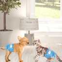 Pet Soft Dog Diapers Female, Disposable Dog Diapers, Cat Diaper for Female Cats, Puppy Diaper 48pcs XSmall