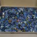 Ravensburger - A Dive in The Maldives - 2000 Piece Jigsaw Puzzle - Stunning Imagery - Beautiful & Intricate - Unique View of an Undersea World - Premium Quality - Puzzles for Adults