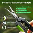 VIVOSUN Gardening Hand Pruner Pruning Shear with Straight Stailess Steel Blades (Black, Straight Blade, 3 Pack)