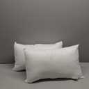 Pack of 2 12x20 Outdoor Pillow Inserts, Water Resistant Throw Pillow Inserts, Outdoor Lumbar Pillow for Patio, Furniture, Sofa, Bed, Living Room, Garden Decorative Waterproof Pillow Inserts