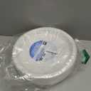 Blue Sky 10 Inch White Plastic Plates - [100 Count] Disposable Plastic Plates, Microwave Safe, Perfect for Birthday Parties, Weddings, Banquets, Picnics, and Everyday Use