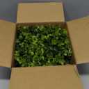 DDHS 10 Inch Artificial Boxwood Small Wreath for Front Doors, 2 Packs Green Leaves Wreath, Spring Summer Mini Wreaths for Indoor Outdoor Hanging Wall Window Wedding Home Decor Party Farmhouse