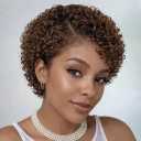 Short Curly Pixie Cut Wig Human Hair for Black Women- 13x4*1 HD Lace Frontal Wigs Short Curly Glueless Wig Pixie Cut Human Hair Wigs for Daily and Party Use
