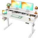 TIQLAB Standing Desk with Two Drawers, Stand Up Standing Desk Adjustable Height, Electric Sit Stand Table with Storage Shelf and Splice Board, 55 * 24 inch, White