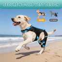 Dog Knee Braces for Torn ACL Hind Leg, Adjustable Dog Leg Braces for Back Leg with 4 Stabilizers for Luxating Patella Relieves Ligament Injury and Joint Pains, Size: L
