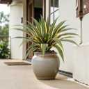 Artificial Agave Plants Outdoor, 24 Large UV Resistant Fake Agave with 24 Lifelike Leaves, Faux Succulents Plant for Home Front Porch Patio Garden Yard Indoor Decor 2Pack