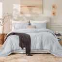 Andency Light Grey Comforter Set Queen, 3 Pieces Boho Tassel Lightweight Bedding Comforter Sets, All Season Soft Fluffy Fringe Bed Set (90x90In Comforter & 2 Pillowcases)