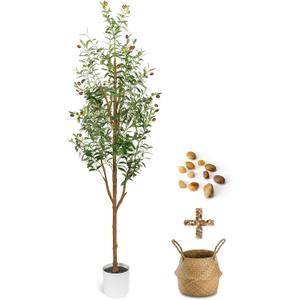 6FT Artificial Olive Tree - Indoor Tall Faux Olive Trees with Planter&Basket, Large Fake Olive Silk Tree Realistic Olive Plants with Branches and Fruits for Home Decor Office Living Room