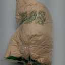 Pureegg Spandex Tablecloth 6ft - 6 Pack, Fitted and Stretch Table Cover for Rectangle Tables, Wrinkle-Resistant and Secure Fabric for Outdoor, Picnic, Party, Wedding, Banquet and Birthday, Champagne