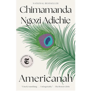 Americanah, by Chimamanda Ngozi Adichie, Book