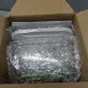 Mueller Pro-Series 10-in-1, 8 Blade Vegetable Chopper, Onion Mincer, Cutter, Dicer, Egg Slicer with Container, French Fry Cutter Potato Slicer, Home Essentials, Salad Chopper White Sand/Green