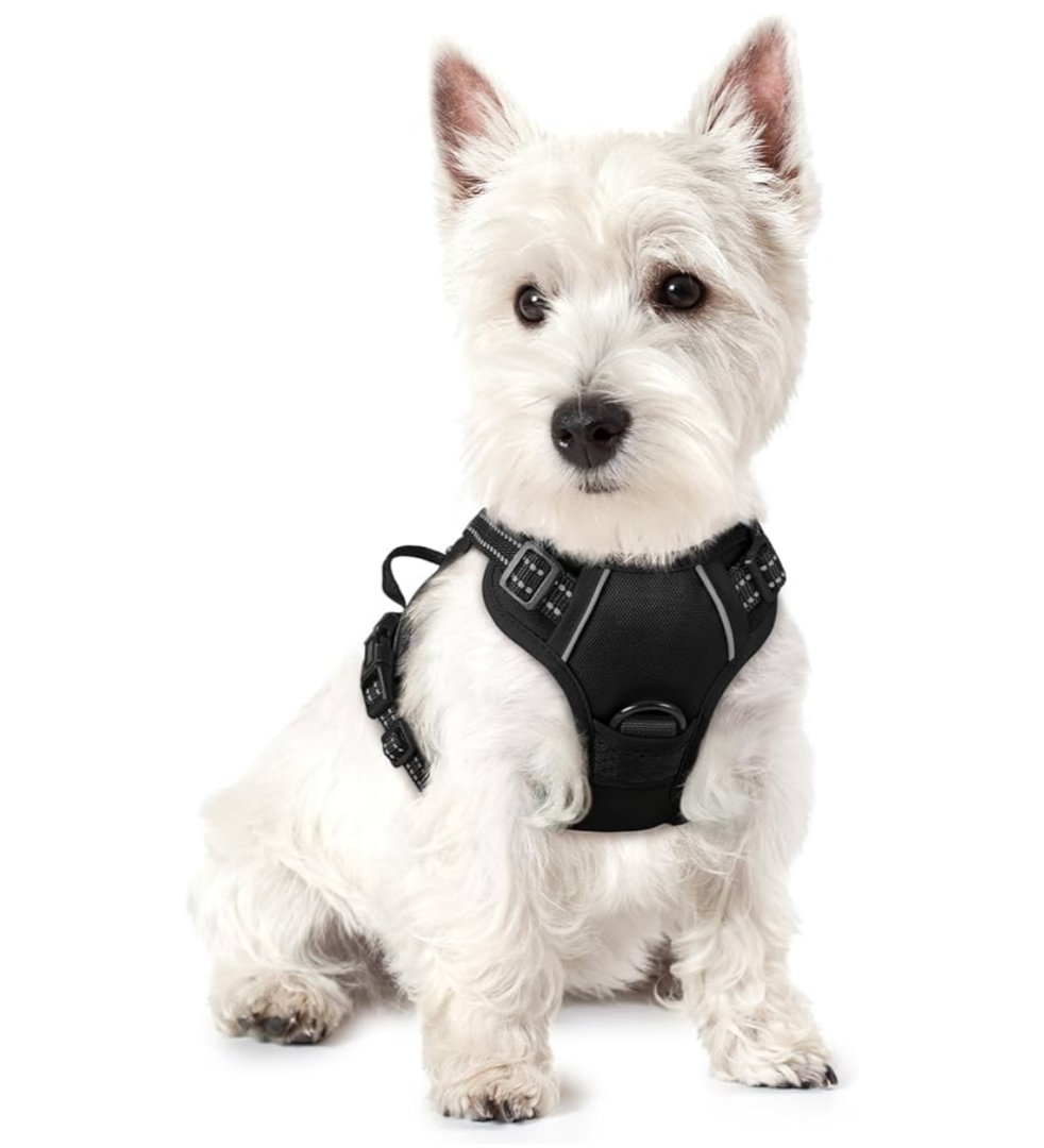 rabbitgoo Dog Harness No Pull with 2 Leash Clips, Adjustable Soft Padded, Reflective Oxford No Choke Pet Vest with Easy Control Handle for Puppy, Black, XS