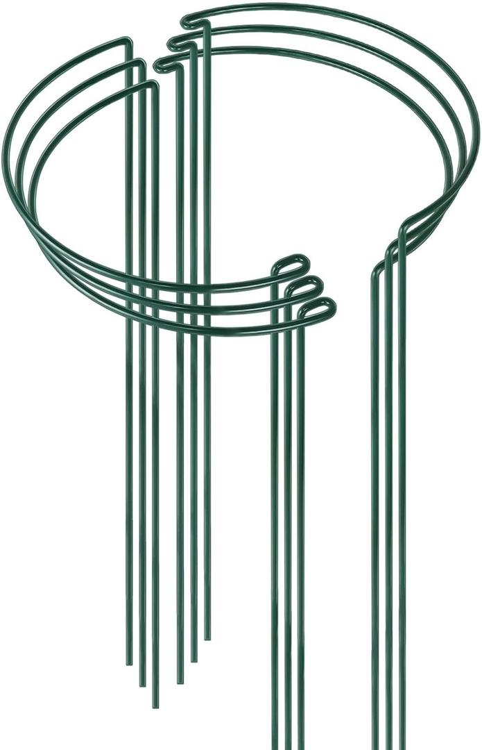 HiGift 6 Pack 24 Inch Plant Stakes, 10" Wide x 24" High Half Round Metal Peony Cages and Support, Green Garden Plant Stake Plant Support Ring Border for Peony Tomato,Hydrangea,Flower Indoor Outdoor (10" W x 24" H)