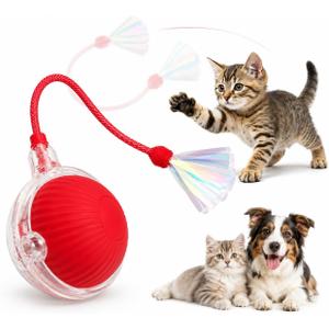 Interactive Cat Toy Ball with LED Lights, USB-C Rechargeable Automatic Cat Toy with Feather Tail, Smart Exercise Toy for Indoor Cats & Kittens, Upgraded Version