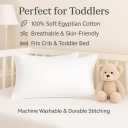 COTTON STICH 12x16 Small Pillowcase Zipper Closer Pillow case Set of 2 PC Mini Pillowcase 600 TC Pure Egyptian Cotton Decorative Hotel Quality (White Solid, Toddler 12x16 Zipper)