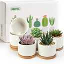 ZOUTOG Succulent Pots 3.1 Inch,6 Pack Succulent Planters,Small Pots for Plants with Drainage and Tray,White Ceramic Flower Planters for Indoor Plants,Home,Office,Desk