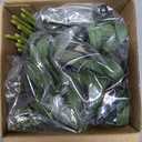 Erlandens 30pcs Faux Olive Leaves Stems 10” Tall Artificial Plants Olive Branches for Small Vase Tabletop Greenery Decor for Home Office Wedding Party (Vase Not Included)