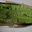 42" Artificial Boston Ferns, Bush Plants 2 Pack for Outdoors