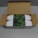 Der Rose 4 Pack Fake Plants Mini Artificial Greenery Potted Plants for Home Decor Indoor Office Table Room Farmhouse Bathroom Decor (Grey)