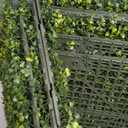 Bynbbur Artificial Hedge Wall 54" Lx36 Hx12 W Boxwood Hedges Outdoor Patio Greenery Walls, Fake Grass Privacy Wall Screens, Office Living Room Divider, Wedding Party Dcor