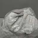 Cervical Pillow for Neck and Shoulder Relief, Cooling Memory Foam Pillow for Sleeping, Ergonomic Neck Support Pillow Contour Bed Pillow for Back Side Stomach Sleepers with Pillowcase