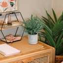 2 Pack Small Fake Plants Rosemary Potted Artificial Plants for Shelf Desk Home Bathroom Farmhouse Room Coffee Table Decor (Green)