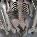 KANKUN 5 FT Halloween Skeleton, Full Body Stayable Movable Joints, Posable Hanging Skeletons for Halloween Decoration