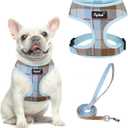 PUPTECK Soft Mesh Dog Harness and Leash Set Pet Puppy Cat Comfort Padded Vest No Pull Harnesses, Blue&Brown, M (M (NECK: 14", CHEST: 17"-21"))