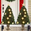 Juegoal 2 Pack Pre-Lit Artificial Christmas Trees, 3 FT Lighted Green Optical Fiber Entrance Tree in Gold Urn Base, 8 Lighting Modes, 110 Branch Tips for Front Door Porch Festive Holiday Home