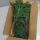 12PCS Norfolk Pine Stems, Christmas Greenery Stems - Artificial Faux Norfolk Pine Branches with Big Pinecones, Real Touch Evergreen Greenery for DIY Crafts, Indoor Outdoor Home Garden Vase Table Decor