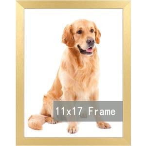 RUN HELIX 11x17 Picture Frame for 11by17 Poster Photo Canvas Certificate Black High Transparent Poster Frame Wall Desktop Horizontal Vertical 11 x 17,Gold