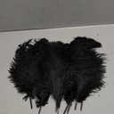 Bulk Black Ostrich Feathers, 8 pieces
