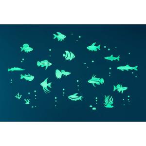 Tropical Fish Series (63 pcs/Pack), Glow in The Dark Educational Wall Stickers, The Eco-Friendly and Brightest Wall Stickers for Ceiling, Bathtime, Bedroom, Party, Decor, Made in Japan