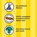 Temptations Cat Treats, Classic Crunchy and Soft Cat Treats, Catnip Fever Flavor, Catnip Treats, 16 oz. Tub (1 Pound (Pack of 1))